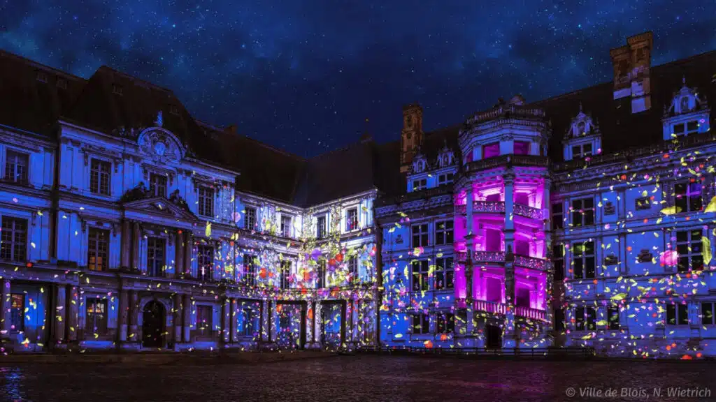 Article 2 - Spectacle Son et Lumiere Blois